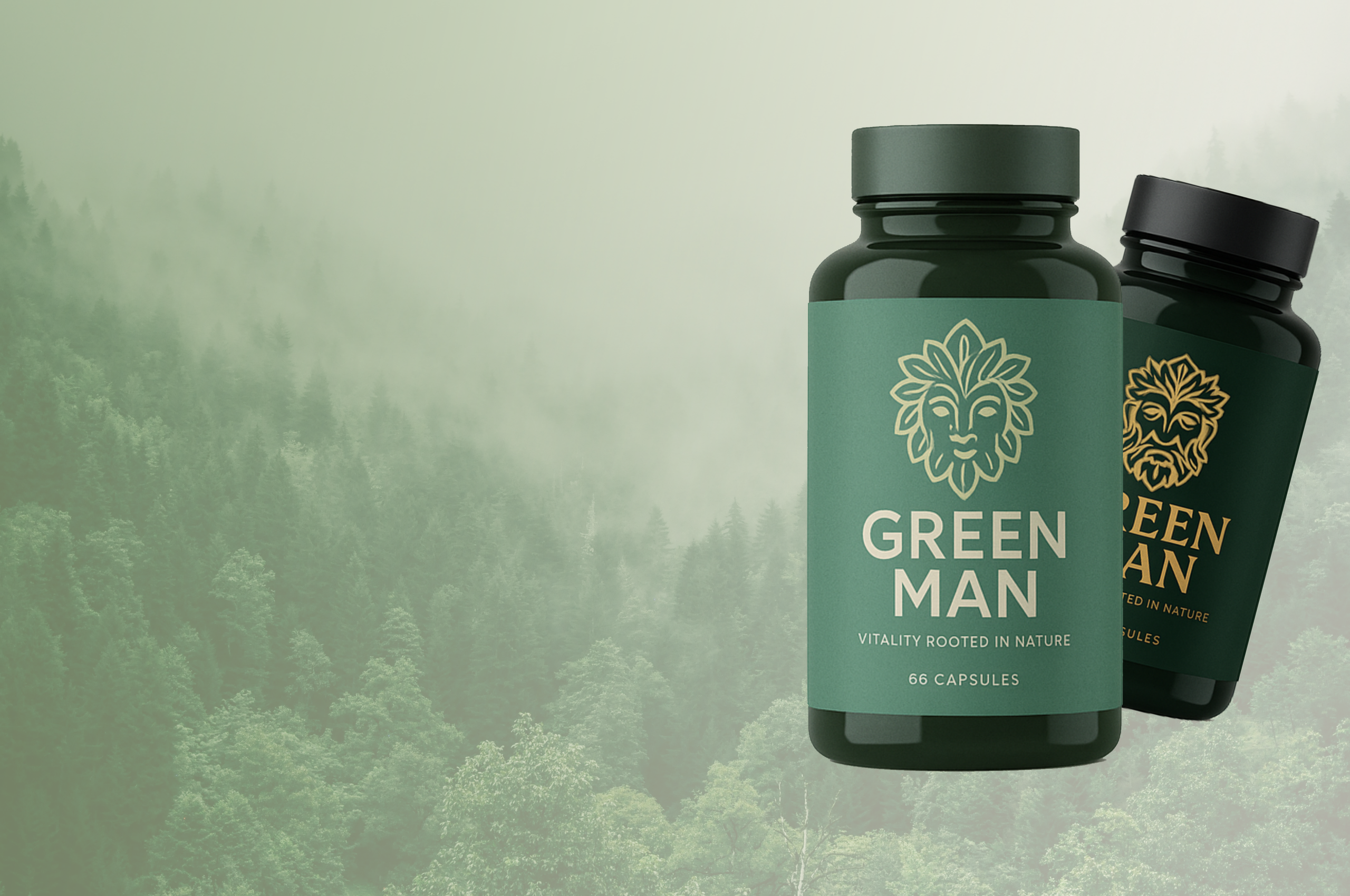 The Evergreen Bundle